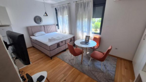 Lijepo pozicioniran stan, atrakcije blizu, Podgorica